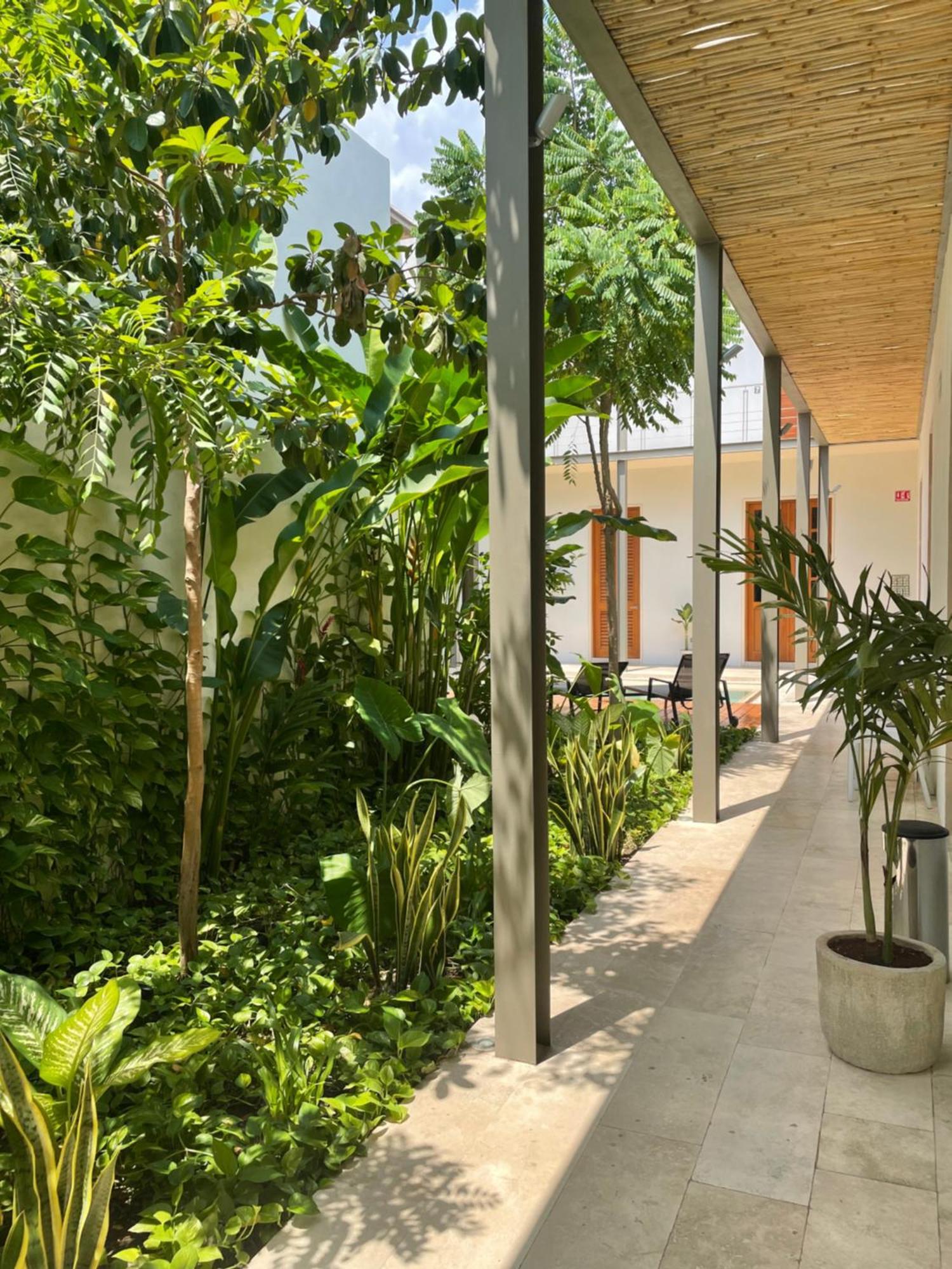 Villa Orquidea Boutique Hotel Mérida Dış mekan fotoğraf